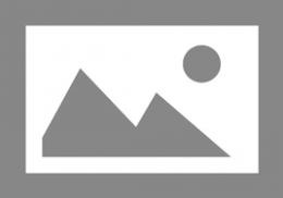 checkPortfolio